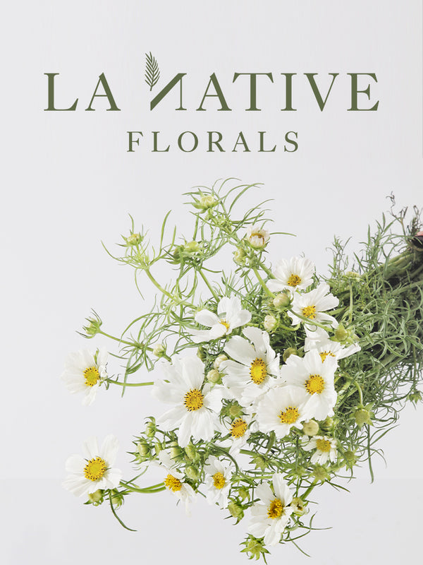 LA Native Florals